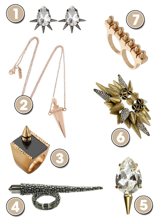 Spiked Accessories